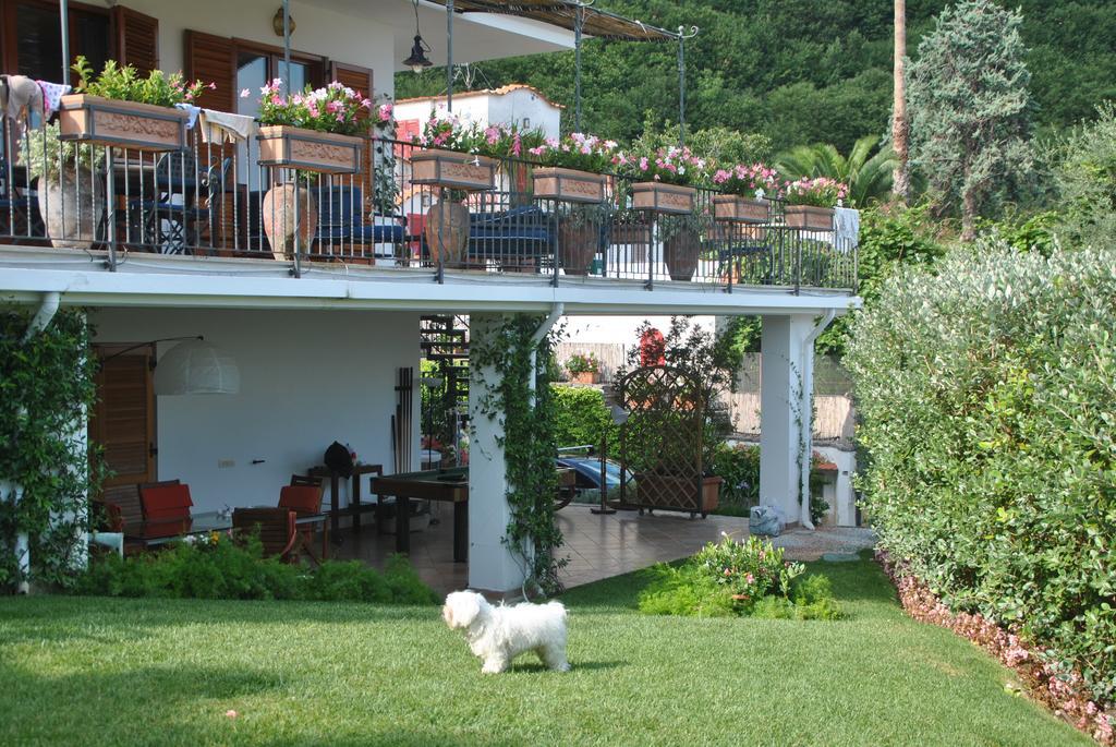 Casa Vacanze Villa Antonella By Gocce Вико-Экуенсе Экстерьер фото